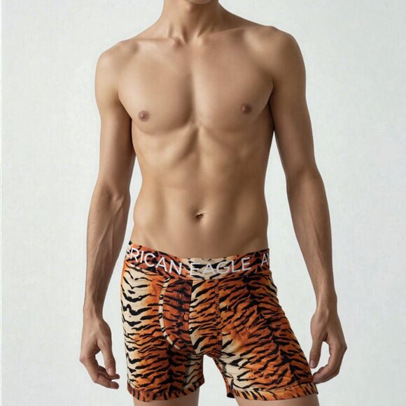 American Eagle Outfitters Other - American Eagle Mens L Boxer Briefs Tiger Print Trunks Wild Jungle AE Underwear
